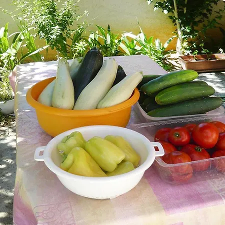 In Near Stunning Beaches Privlaka (Zadar)