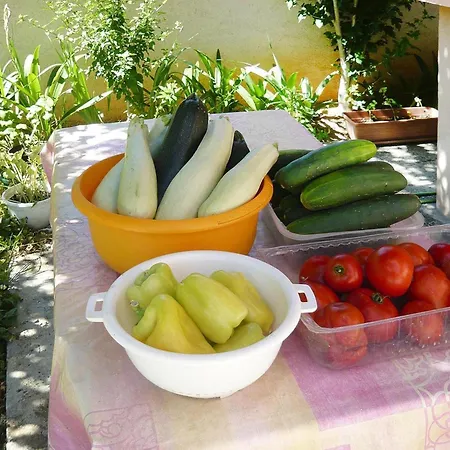 In Near Stunning Beaches Apartmán Privlaka (Zadar)