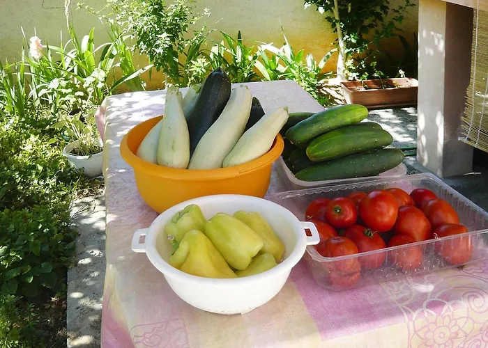 In Near Stunning Beaches Appartamento Privlaka (Zadar)